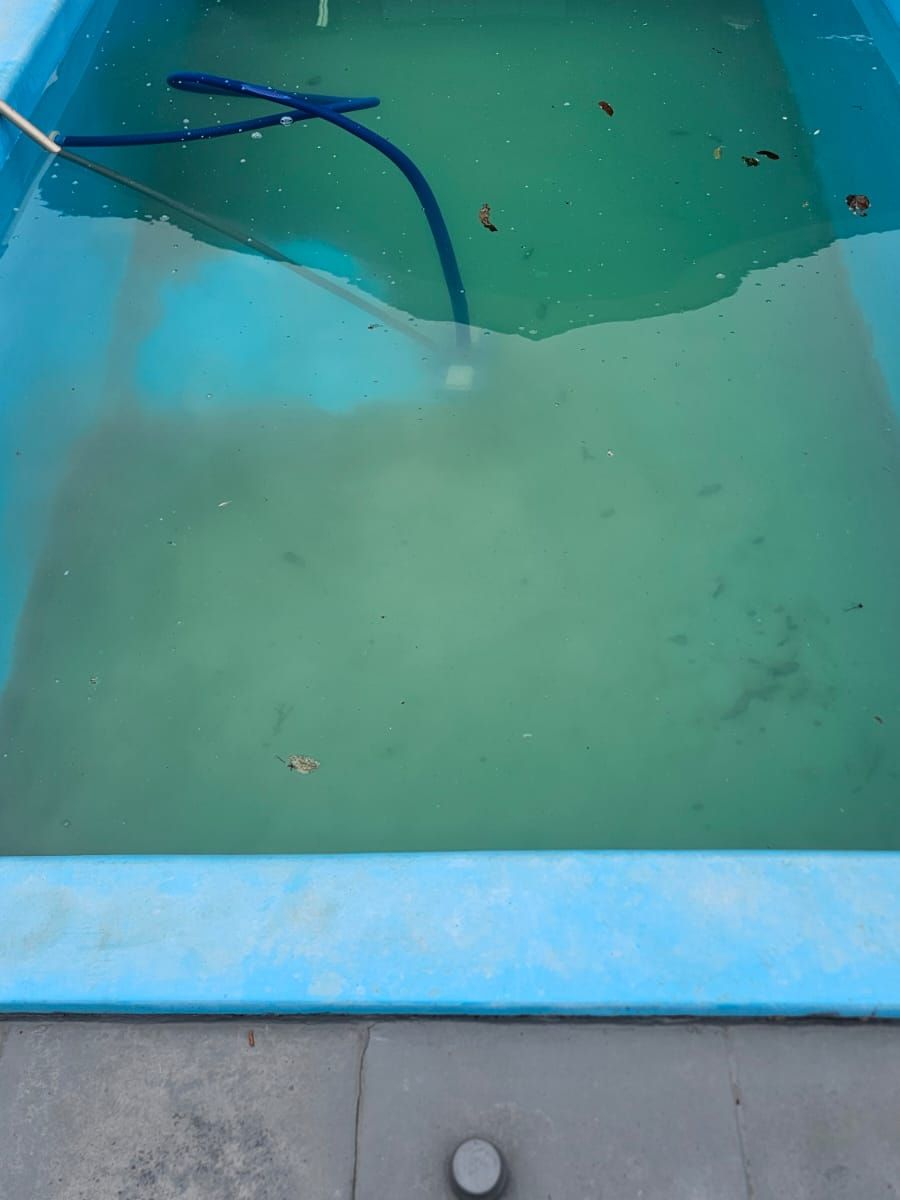 Piscina de fibra com a água turva e esverdeada